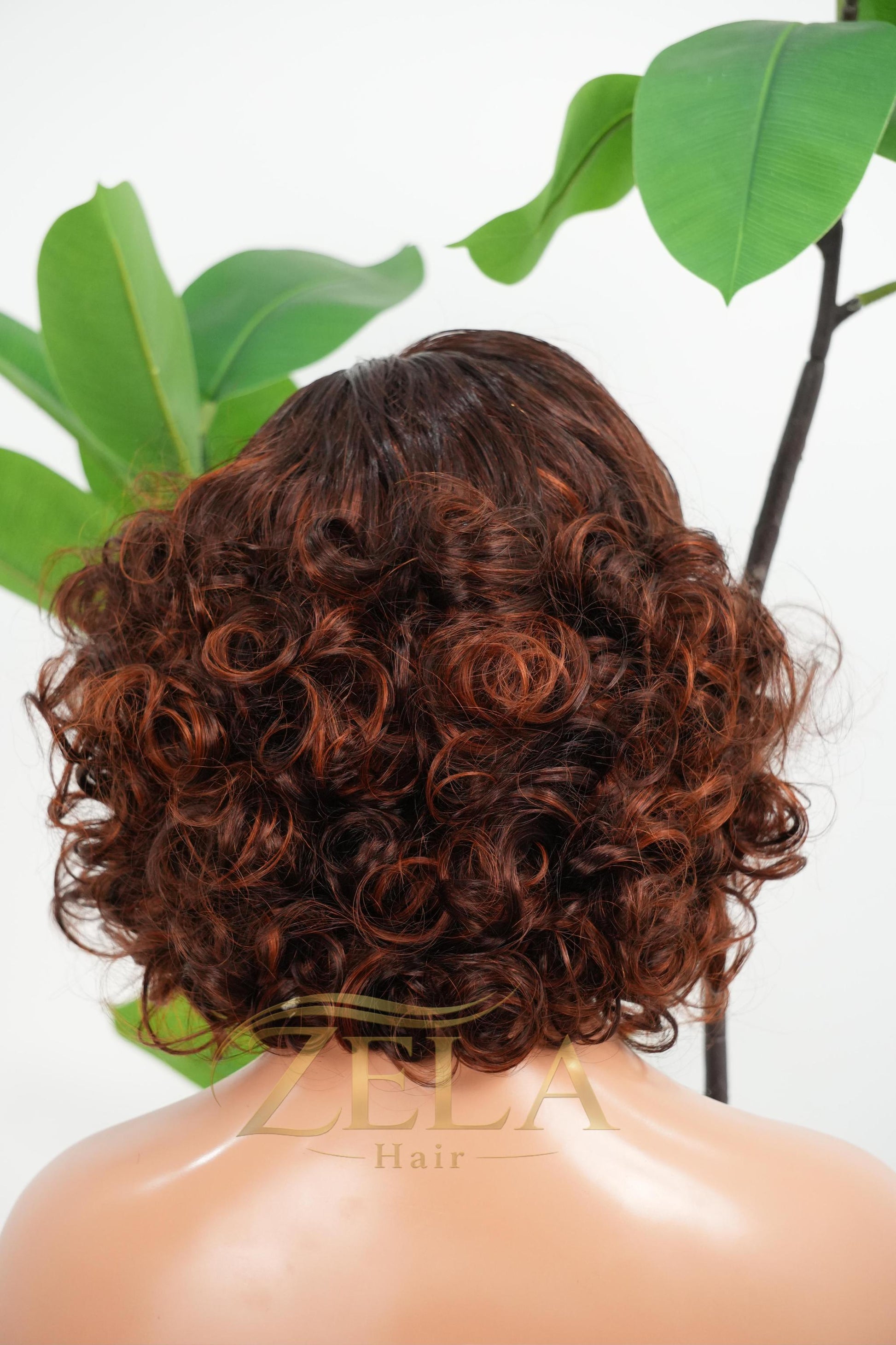 Auburn brown blend P4/350 curly bob wig with 5x5 HD lace closure